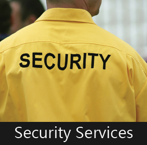 Proactive Security Services