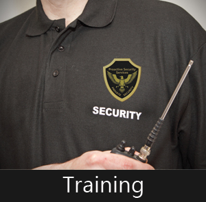 Proactive Security Services Training